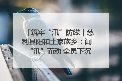 筑牢“汛”防线｜慈利县阳和土家族乡：闻“汛”而动 全员下沉筑牢防汛“安全堤”