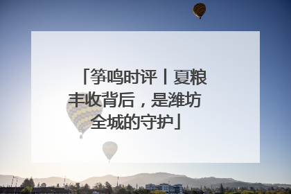 筝鸣时评丨夏粮丰收背后，是潍坊全城的守护