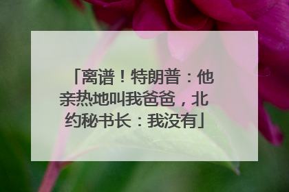 离谱！特朗普：他亲热地叫我爸爸，北约秘书长：我没有