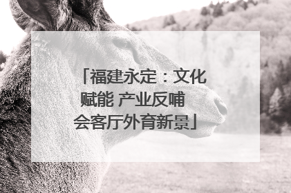 福建永定：文化赋能 产业反哺 会客厅外育新景