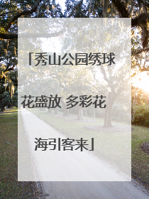 秀山公园绣球花盛放 多彩花海引客来