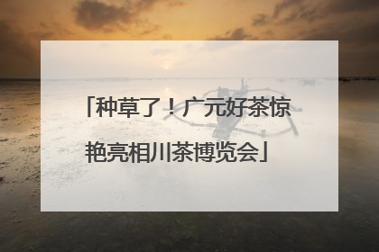种草了！广元好茶惊艳亮相川茶博览会