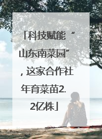 科技赋能“山东南菜园”，这家合作社年育菜苗2.2亿株