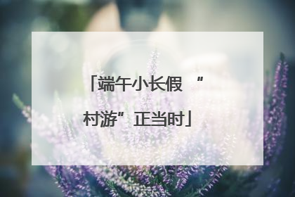 端午小长假 “村游”正当时
