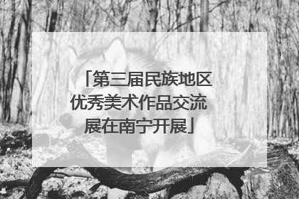 第三届民族地区优秀美术作品交流展在南宁开展