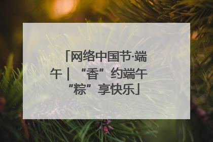 网络中国节·端午｜“香”约端午 “粽”享快乐