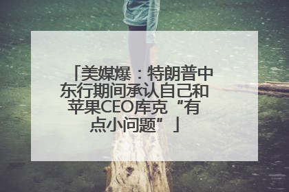 美媒爆:特朗普中东行期间承认自己和苹果CEO库克“有点小问题”