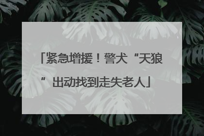 紧急增援！警犬“天狼”出动找到走失老人