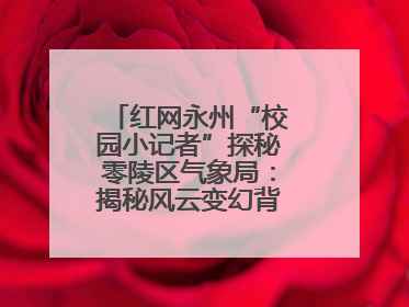 红网永州“校园小记者”探秘零陵区气象局：揭秘风云变幻背后的科学密码