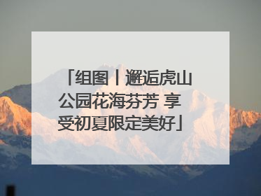 组图丨邂逅虎山公园花海芬芳 享受初夏限定美好