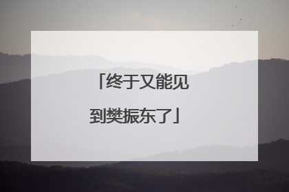 终于又能见到樊振东了