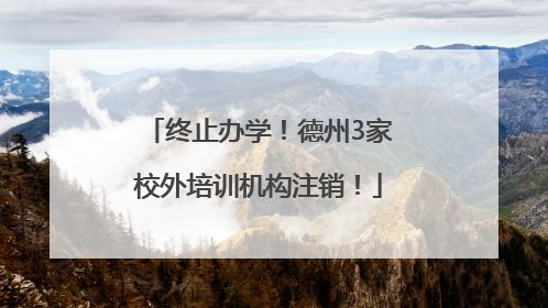终止办学！德州3家校外培训机构注销！