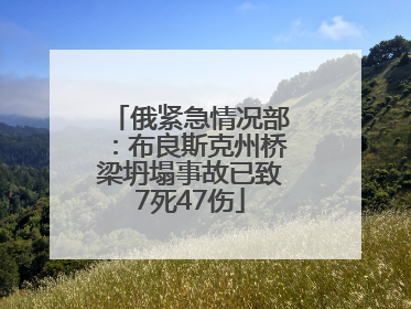 俄紧急情况部：布良斯克州桥梁坍塌事故已致7死47伤
