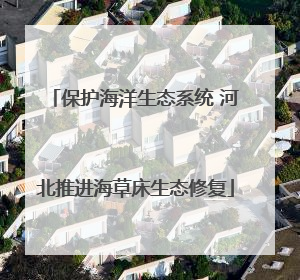 保护海洋生态系统 河北推进海草床生态修复