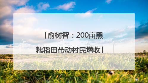 俞树智：200亩黑糯稻田带动村民增收