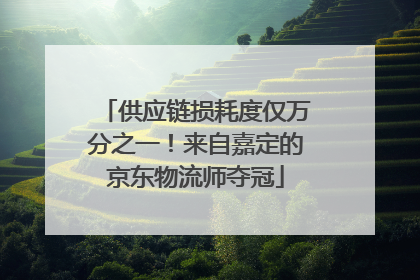供应链损耗度仅万分之一！来自嘉定的京东物流师夺冠