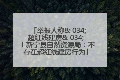 举报人称& 034;超红线建房& 034;！新宁县自然资源局：不存在超红线建房行为