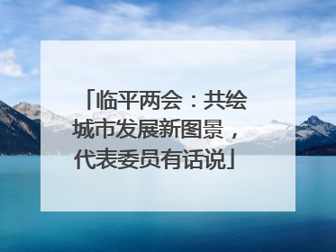 临平两会：共绘城市发展新图景，代表委员有话说