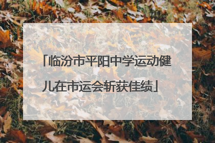 临汾市平阳中学运动健儿在市运会斩获佳绩