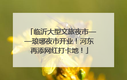 临沂大型文旅夜市——琅琊夜市开业！河东再添网红打卡地！