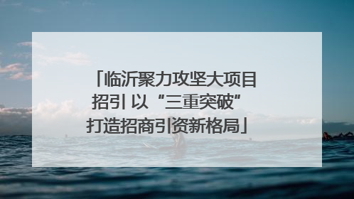 临沂聚力攻坚大项目招引 以“三重突破”打造招商引资新格局