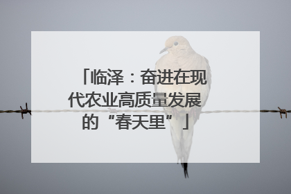 临泽：奋进在现代农业高质量发展的“春天里”