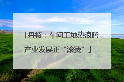 丹棱：车间工地热浪腾产业发展正“滚烫”