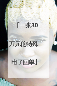 一张30万元的特殊电子回单