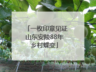 一枚印章见证山东安陵88年乡村蝶变
