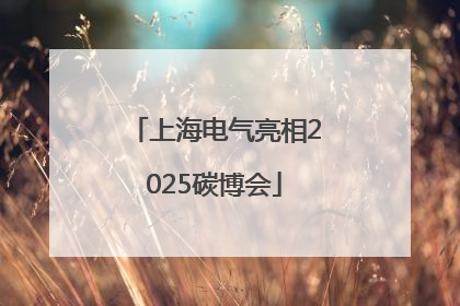 上海电气亮相2025碳博会