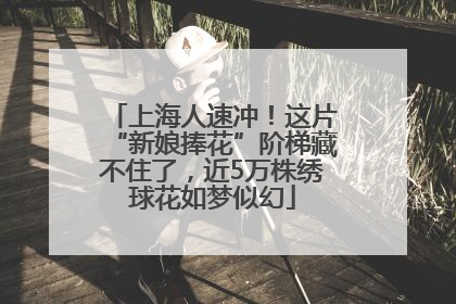 上海人速冲！这片“新娘捧花”阶梯藏不住了，近5万株绣球花如梦似幻
