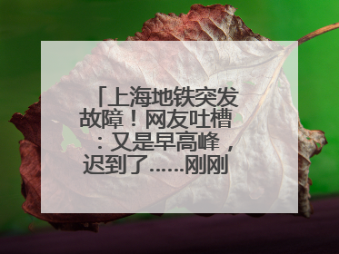 上海地铁突发故障！网友吐槽：又是早高峰，迟到了……刚刚，官方致歉→