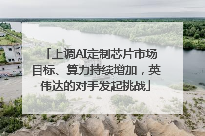 上调AI定制芯片市场目标、算力持续增加，英伟达的对手发起挑战