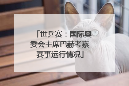 世乒赛：国际奥委会主席巴赫考察赛事运行情况