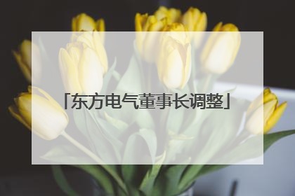 东方电气董事长调整