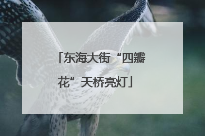 东海大街“四瓣花”天桥亮灯