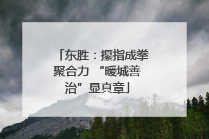 东胜：攥指成拳聚合力 “暖城善治”显真章