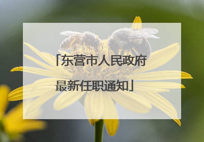 东营市人民政府最新任职通知