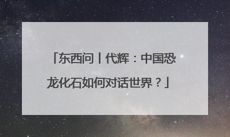 东西问丨代辉：中国恐龙化石如何对话世界？