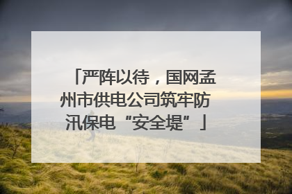 严阵以待，国网孟州市供电公司筑牢防汛保电“安全堤”