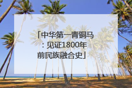 中华第一青铜马：见证1800年前民族融合史