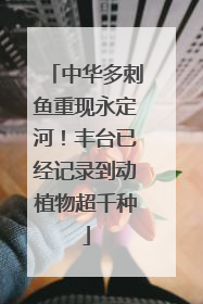 中华多刺鱼重现永定河！丰台已经记录到动植物超千种