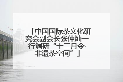 中国国际茶文化研究会副会长张仲灿一行调研“十二月令·非遗茶空间”