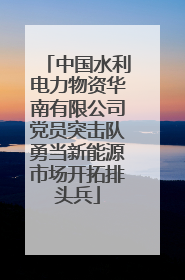 中国水利电力物资华南有限公司党员突击队勇当新能源市场开拓排头兵