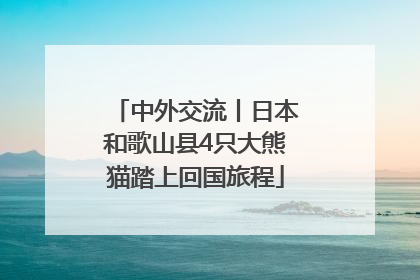 中外交流丨日本和歌山县4只大熊猫踏上回国旅程