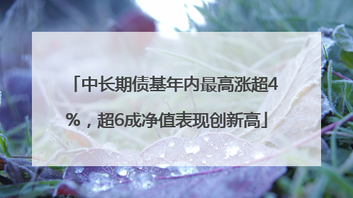 中长期债基年内最高涨超4%，超6成净值表现创新高