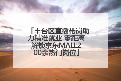 丰台区直播带岗助力精准就业 零距离解锁京东MALL200余热门岗位