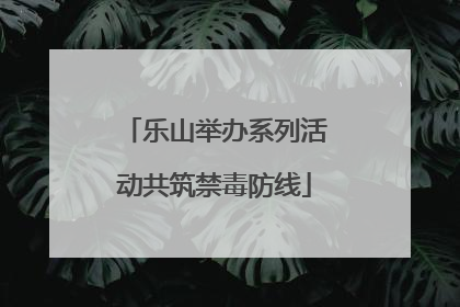 乐山举办系列活动共筑禁毒防线