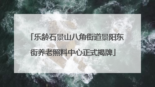 乐龄石景山八角街道景阳东街养老照料中心正式揭牌
