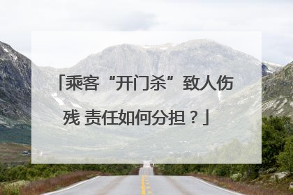 乘客“开门杀”致人伤残 责任如何分担？